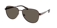 1891/3 (Brown)