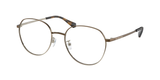 Brown Light Gold Gradient (1014) / 54