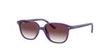 Opal Violet (713136) / 45
