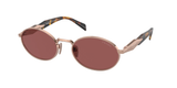 Pink Gold (SVF08S) / 55