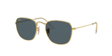 Gold (9196R5) / 54