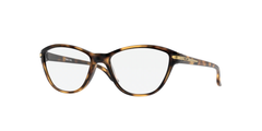 Polished Brown Tortoise (800806) / 46
