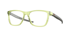 816308 (Fern)