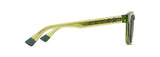 Shiny Trans Grass Green (GS643-15) / 52 | 2