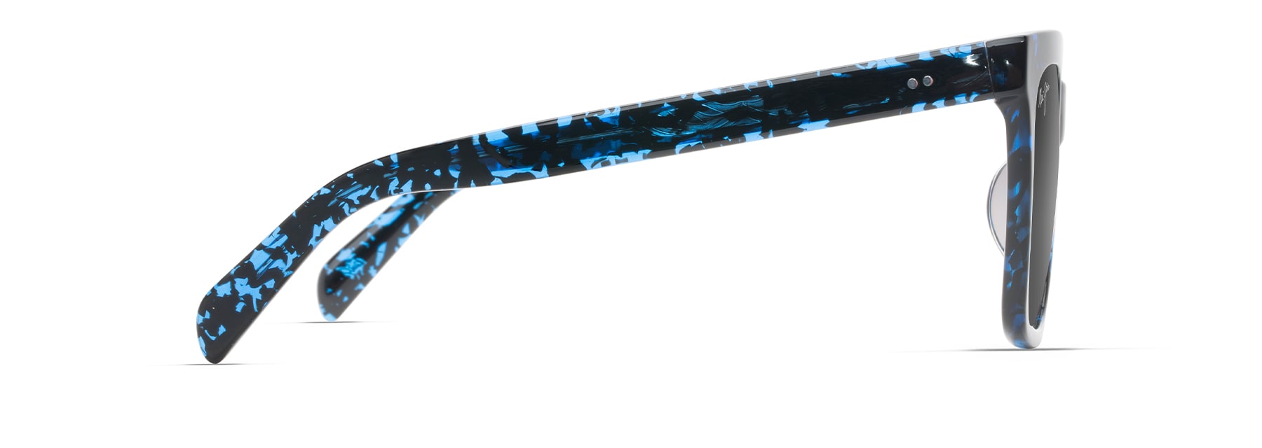 Blue Tortoise (GS898-03) / 54 | 2