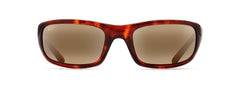 Tortoise (H103-10)