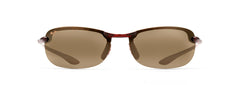 Tortoise (H405-10)