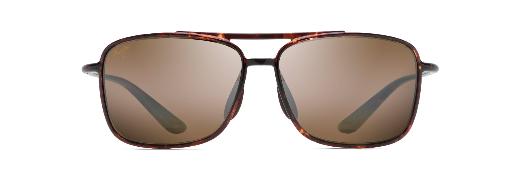 Tortoise (H437-10)
