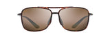Tortoise (H437-10) / 62 | 0
