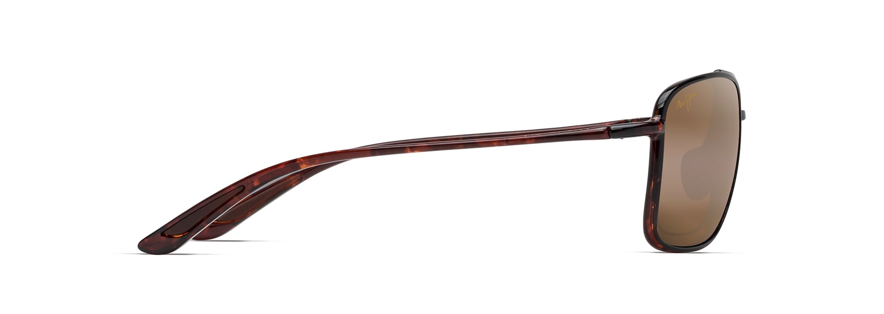 Tortoise (H437-10) / 61 | 2