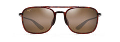 Tortoise (H447-10)