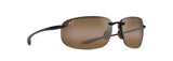 Tortoise (H456-10) / 68 | 1