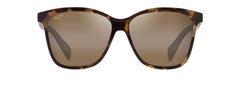 Tokyo Tortoise (H601-10)