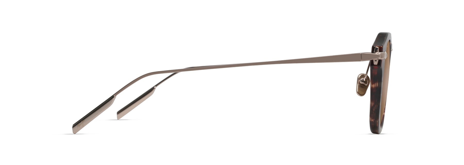 Tortoise with Gold (H837-10) / 49 | 2