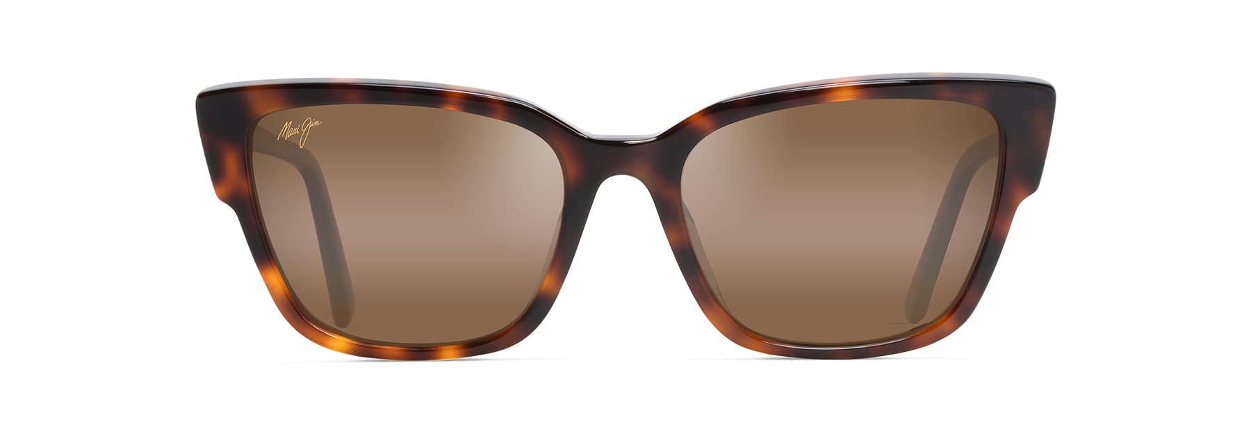 Tortoise (H884-10) / 56 | 0