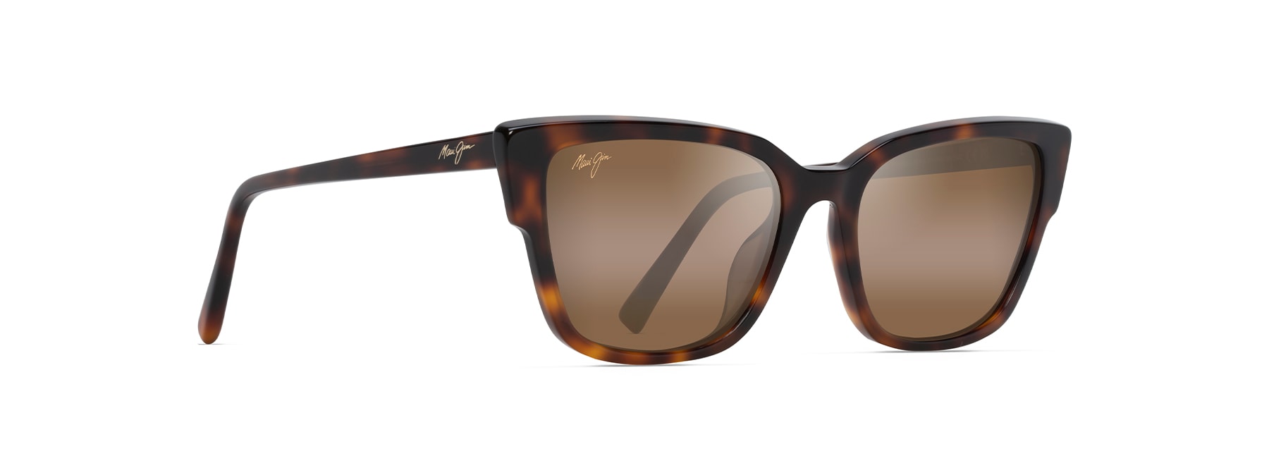 Tortoise (H884-10) / 56 | 1