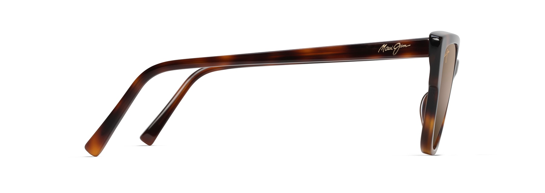 Tortoise (H884-10) / 56 | 2