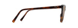 Tortoise (H884-10) / 56 | 2