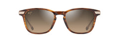 Shiny Dark Havana with Gold (HS623-10)