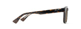 Shiny Dark Havana with Trans Yellow (HS643-10) / 52 | 2