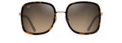 Tortoise with Shiny Gold (HS865-10)