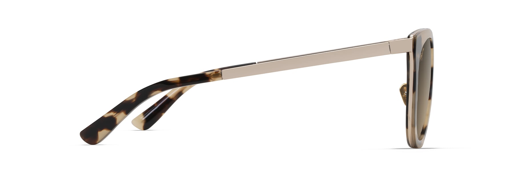 Tokyo Tortoise with Gold (HS870-10) / 50 | 2