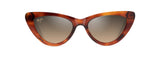 Tortoise (HS891-10) / 52 | 0