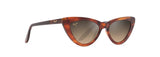 Tortoise (HS891-10) / 52 | 1