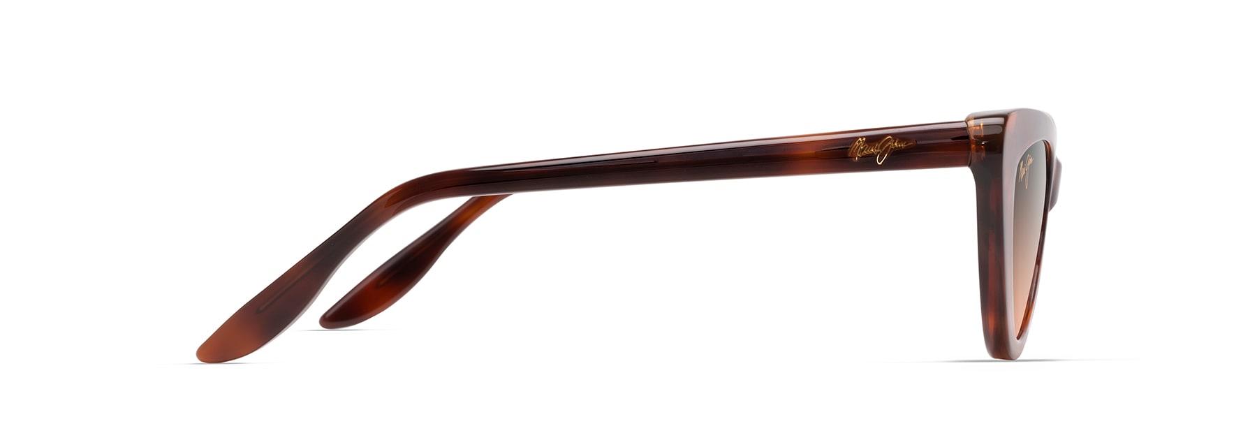 Tortoise (HS891-10) / 52 | 2