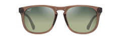 Shiny Trans Light Brown (HTS641-01)