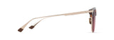 Shiny Dark Havana with Gold (RS629-10A) / 55 | 2