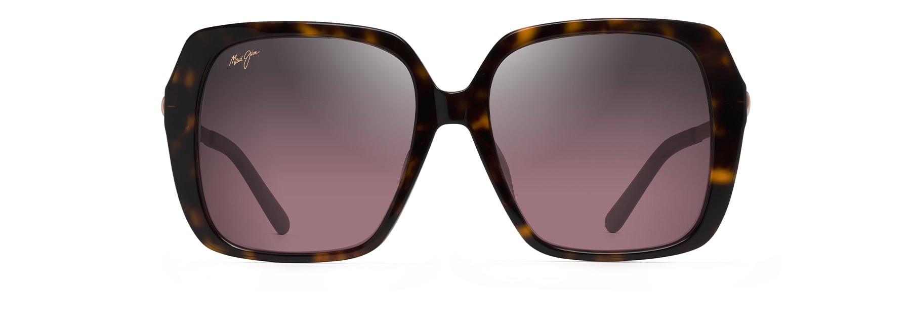 Tortoise (RS838-10)