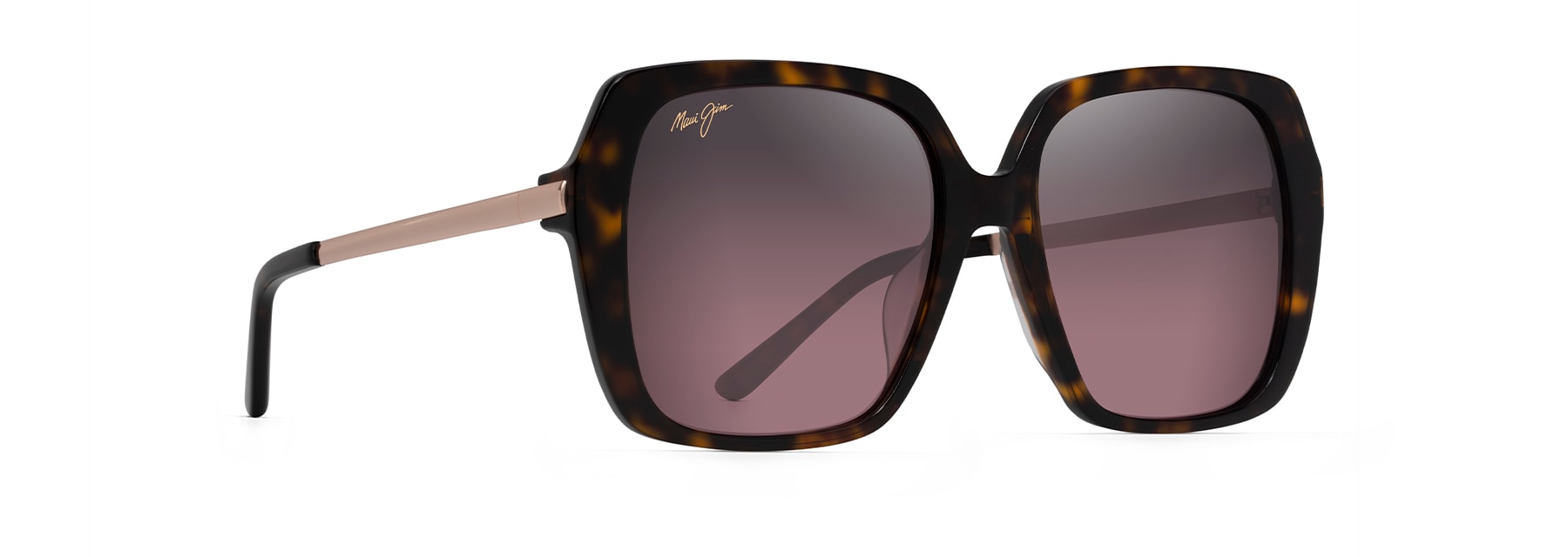 Tortoise (RS838-10) / 55 | 1