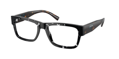 Black Crystal Tortoise (15S1O1)
