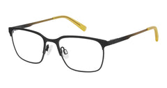 Sfk (M100)