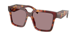 Poppy Tortoise (22A20I) / 57