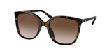 Dark Tortoise (300613) / 57