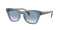 Transparent Grey (66413F)