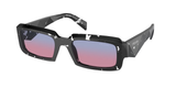 Black Crystal Tortoise (15O60E) / 55