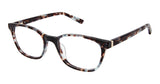 Sf (S401) / 50