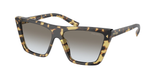 Medium Tortoise (7S00A7) / 55