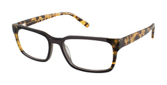 Grey Tortoise (764724374952)