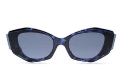 Blue Tortoise (61478)