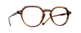 2009 Dark Tortoise Shell (31005042009) / 46