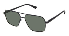 Sfs (M100)