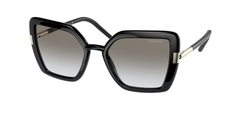 1AB0A7 (Black)