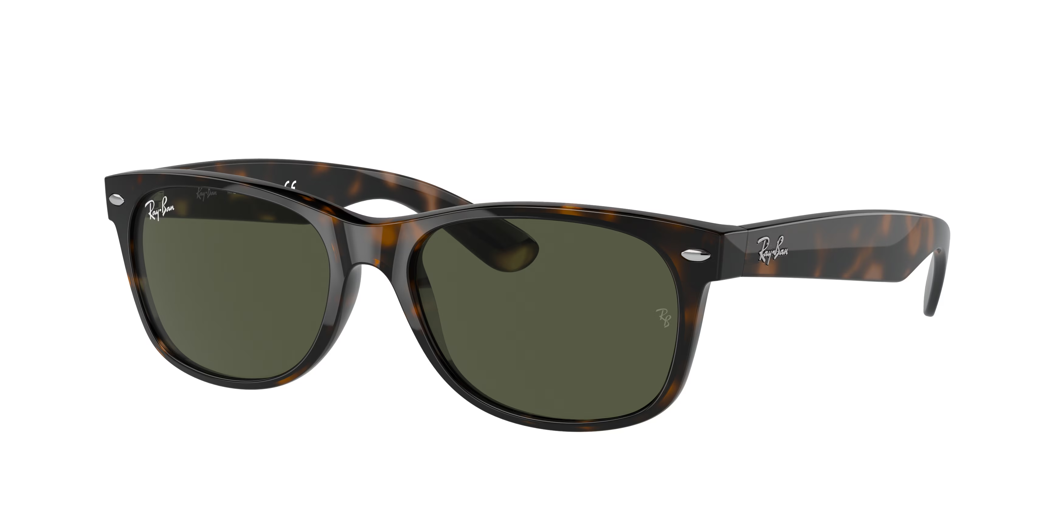 Tortoise (902L) / 55