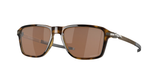 Polished Brown Tortoise (946904) / 54