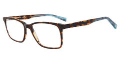 Brown Tortoise (V379   540BRT)