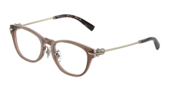 Brown Transparent On Pink (8255)